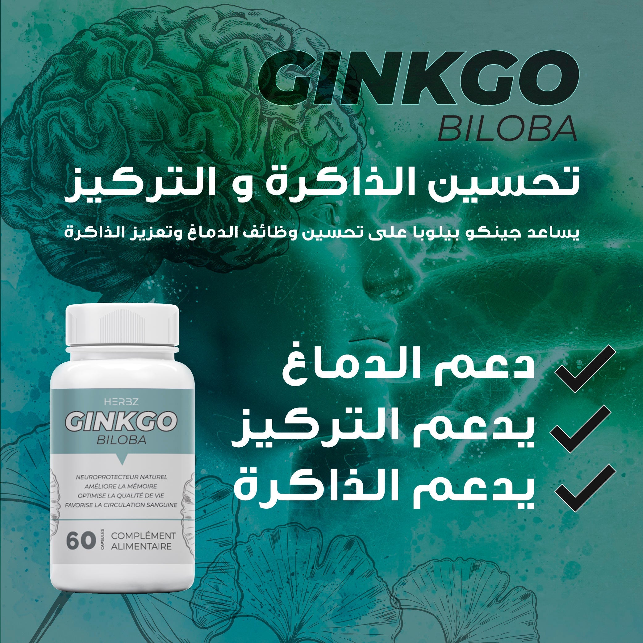 GINKGO BILOBA (60 Capsules)