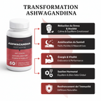 Capsules d’ashwagandha (60 capsules) – ASHWAGANDHA