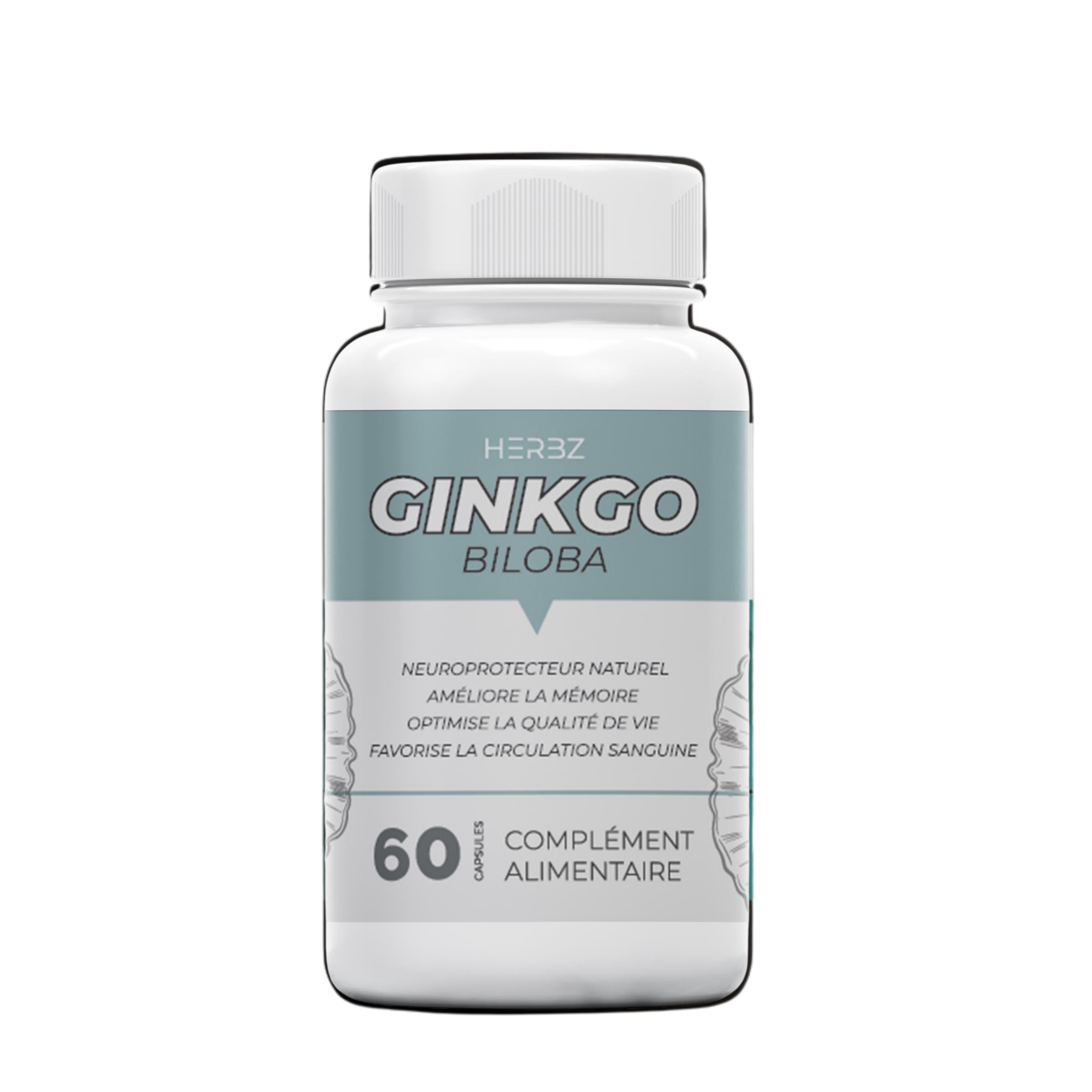 GINKGO BILOBA (60 Capsules)